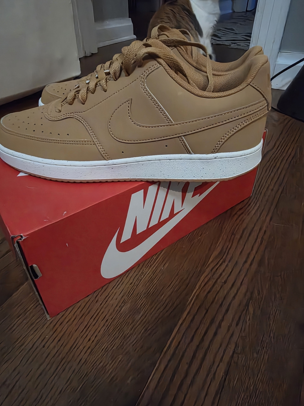 Nike Men's Low-Top Casual Sneakers in Brown